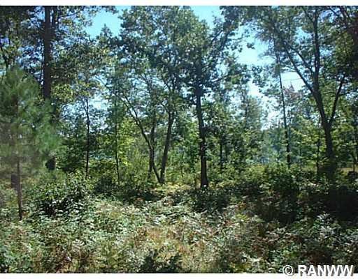 Lot 119 Deerpath Trail, Jackson, WI 54830 - photo 1