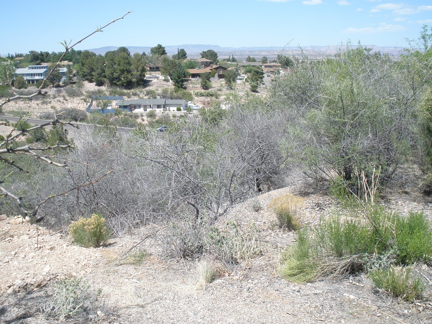 Aqua Fria Land Cottonwood20130427_01