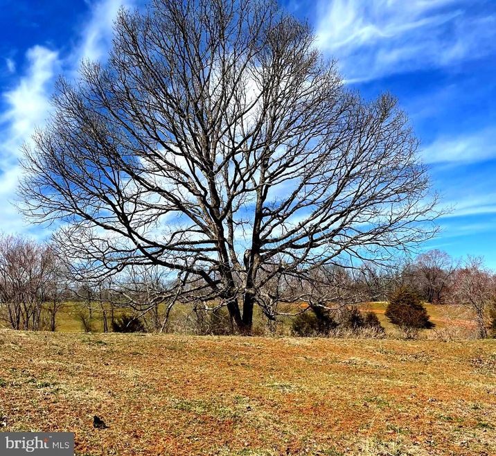 Lot 113D Stonehouse Mountain Rd, Catalpa, VA 22701 - photo 1