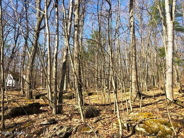 813-814 Tink Wig Dr, Lackawaxen Township, PA 18428 - photo 1