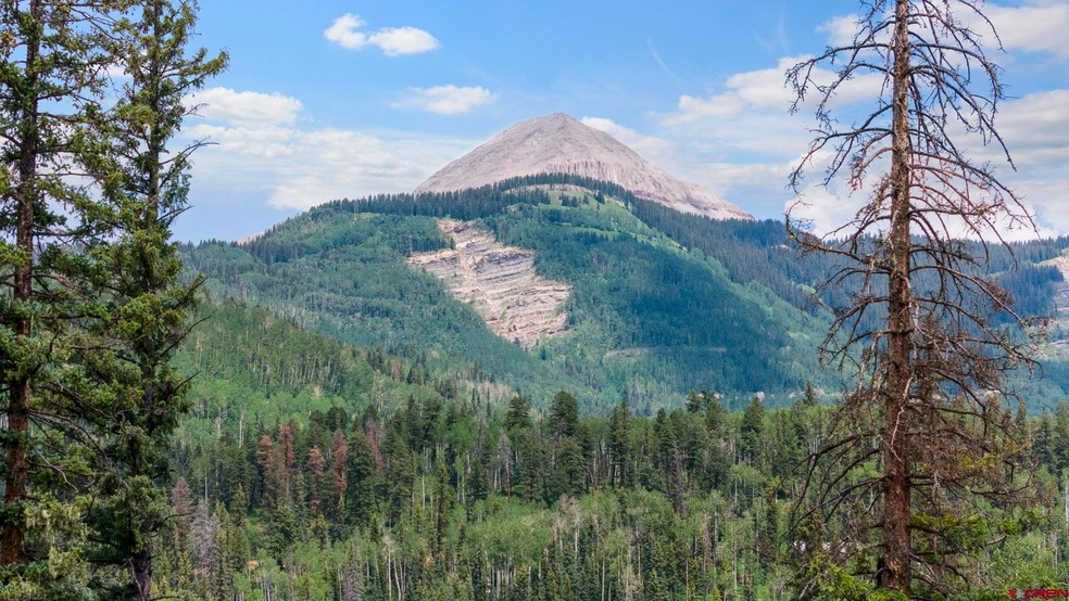 Tract 11 Lime Creek Rd, Durango, CO 81301 - photo 1