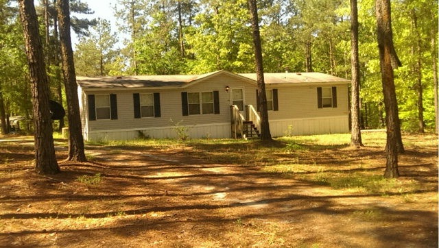 Main View