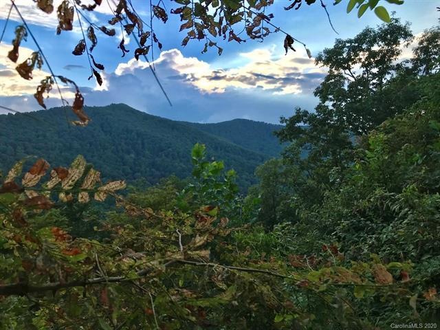 681 Blue Mist Way unit 78, Arden, NC 28704 - photo 1