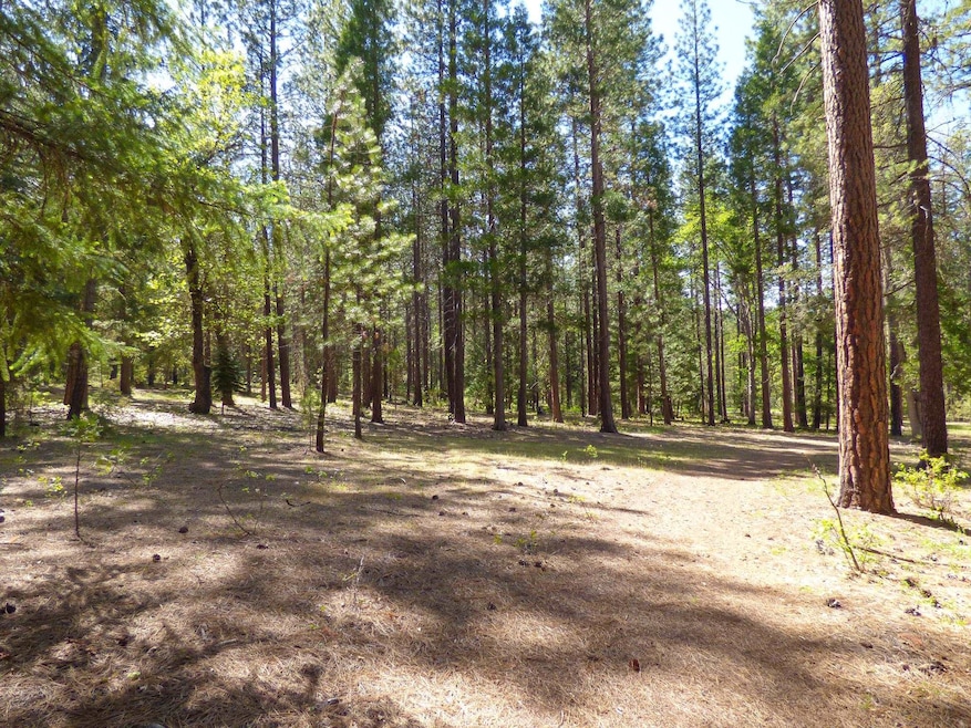 0 Belgian Lane Par 3