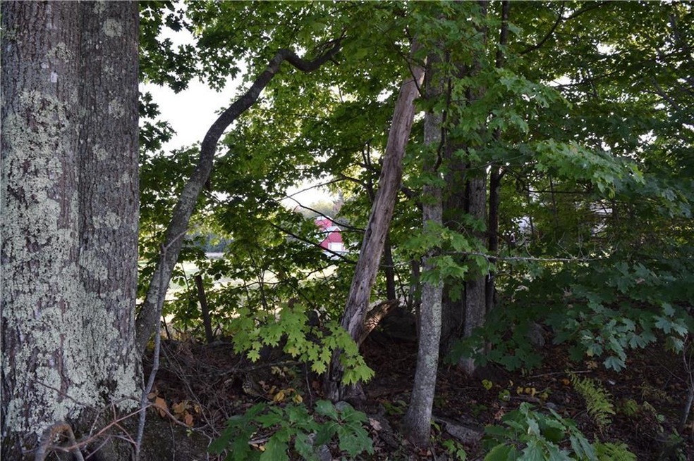 00 Staples Rd, Limington, ME 04049 - photo 1