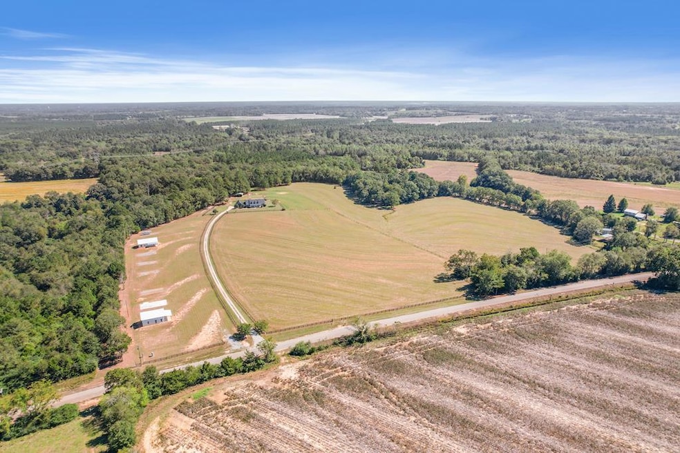 1690 Benton Store Rd, Columbia, AL 36319 - photo 1