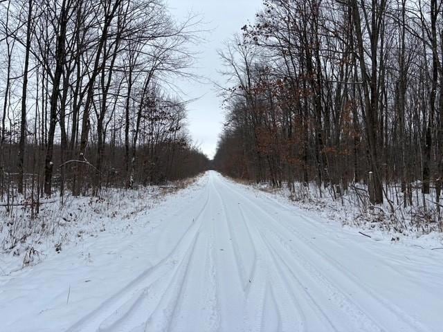 ON Outlaw Rd, Bern, WI 54451 - photo 1