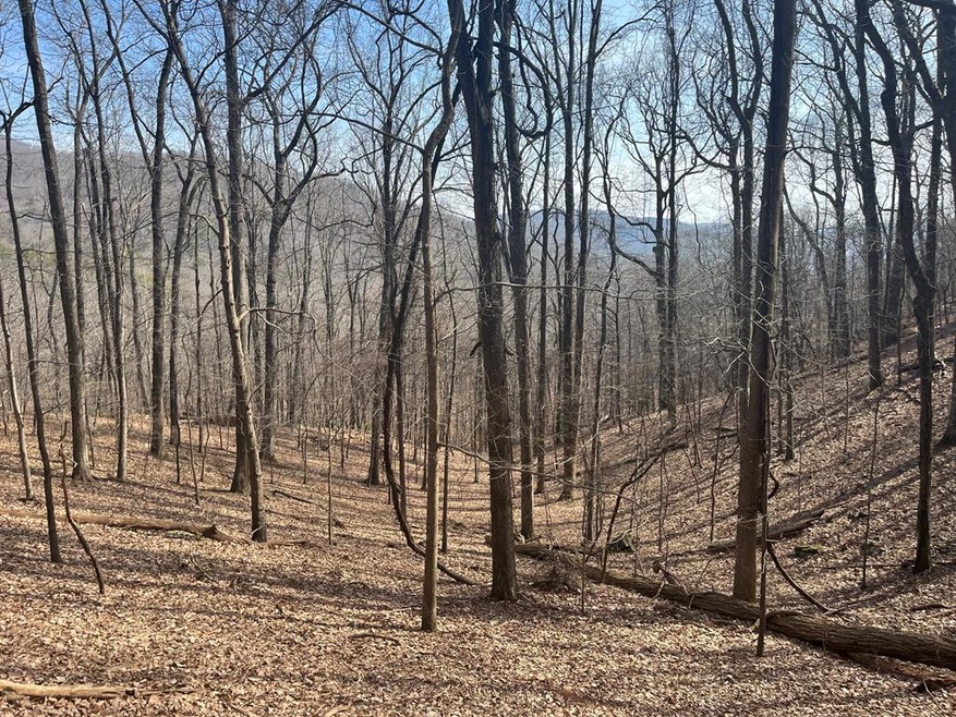 1400 Valley View Dr unit 7062, Jasper, GA 30143 - photo 1