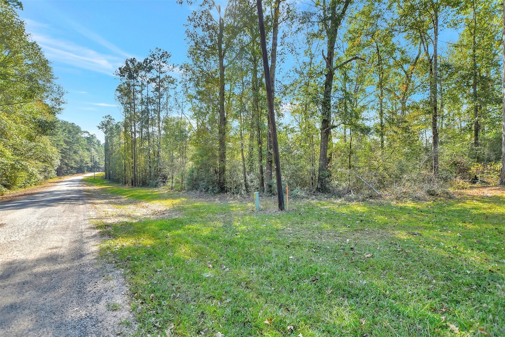 100 Virginia Creek, Coldspring, TX 77331 - photo 1