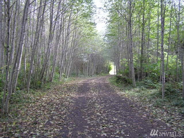 163 Menlo Dr, Longview, WA 98632 - photo 1