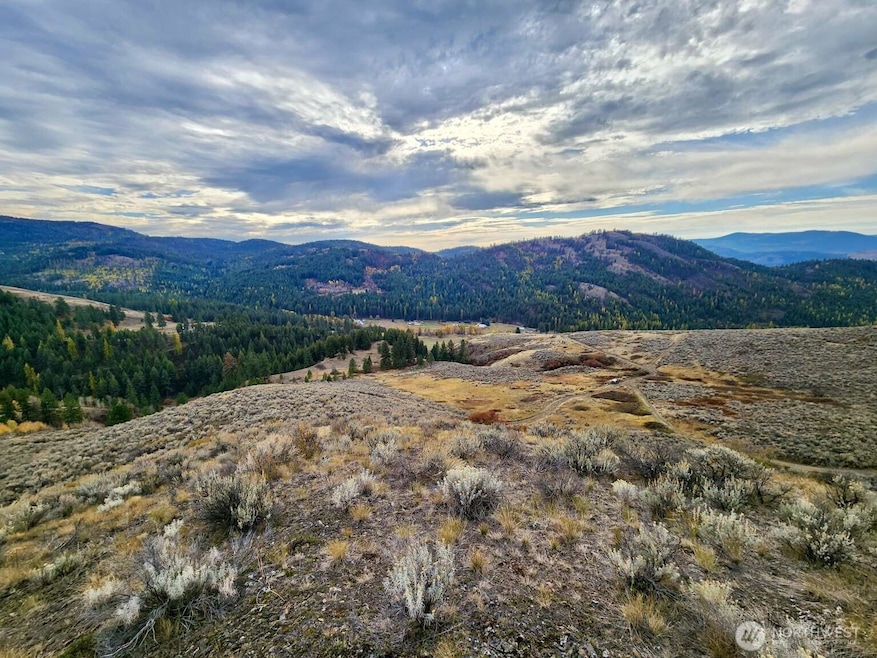 48 Oleander Rd, Republic, WA 99166 - photo 1