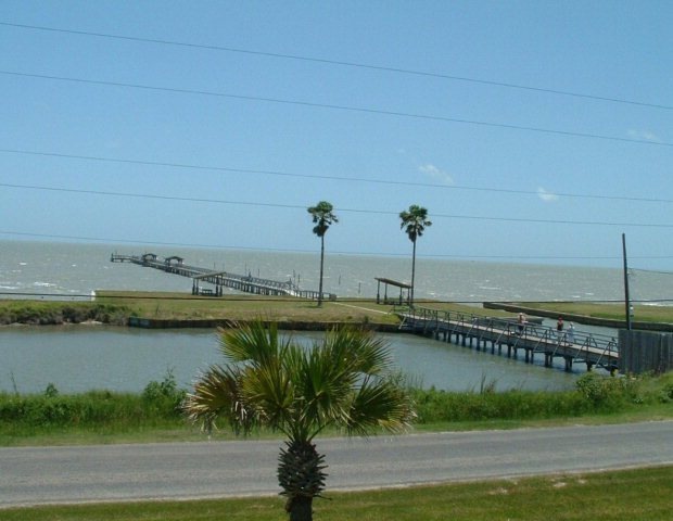 Main View