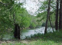 Duck River view from Lot