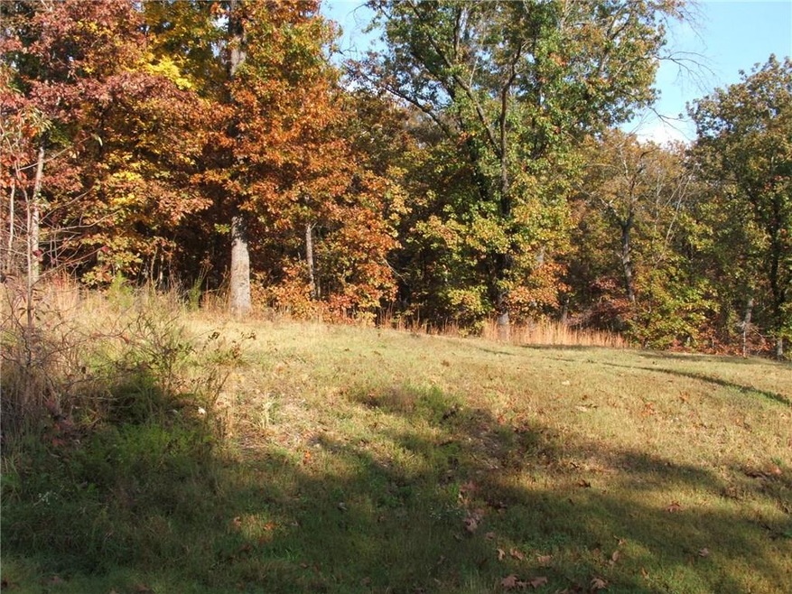 11 White Parish Ln, Bella Vista, AR 72714 - photo 1