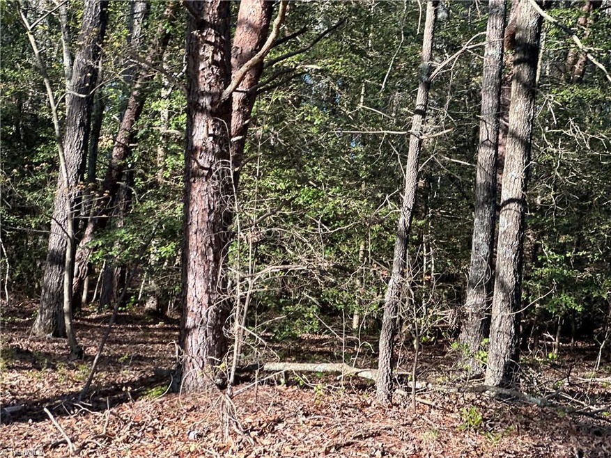 0 Pisgah Covered Bridge Rd unit 1102505, Asheboro, NC 27205 - photo 1