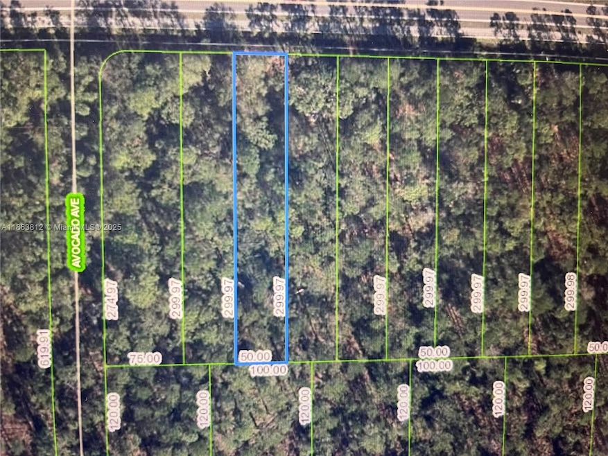 2651 Hammock Rd, Sebring, FL 33872 - photo 1