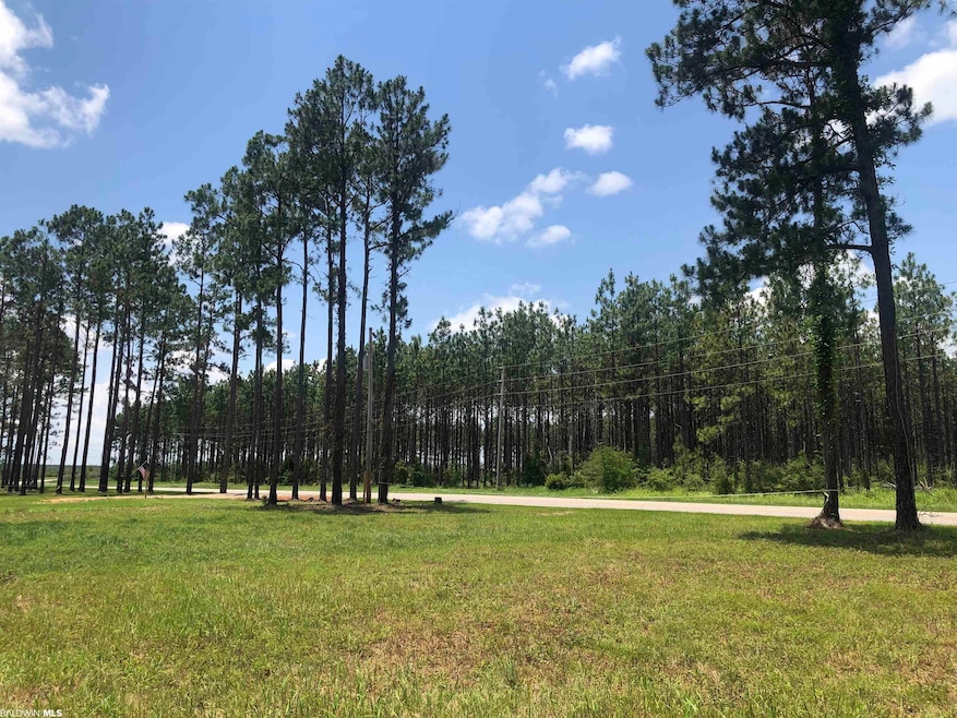 32642 County Road 64 Extension, Robertsdale, AL 36567 - photo 1