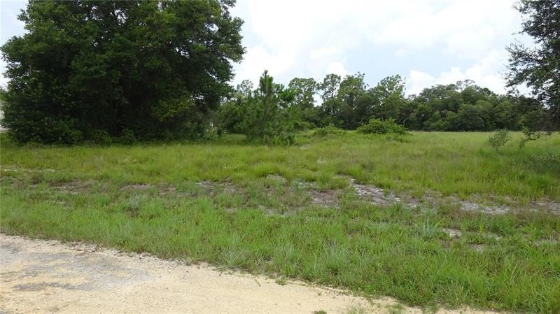 1703 Mcarthur Ave, Lehigh Acres, FL 33972 - photo 1