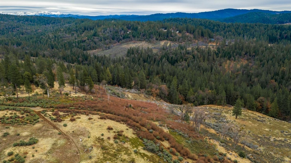 0 Pine Tree Ln unit 225032933, Pollock Pines, CA 95726 - photo 1