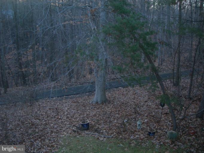 3776 Angelton Ct, Burtonsville, MD 20866 - photo 1