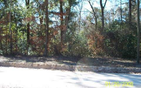 0 Central Terrace unit 69675, Fort White, FL 32030 - photo 1