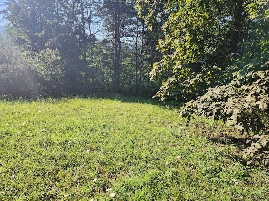 0 Mystic Mountain Blvd unit 24496664, Delray, WV 26714 - photo 1