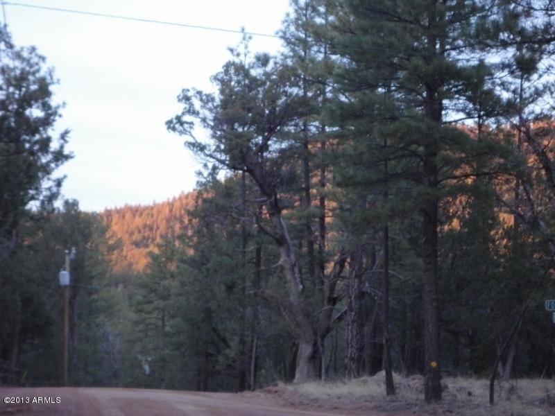DSC02370 (800x600)