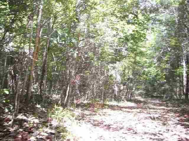 unlisted-address, Crawfordville, FL 32327 - photo 1