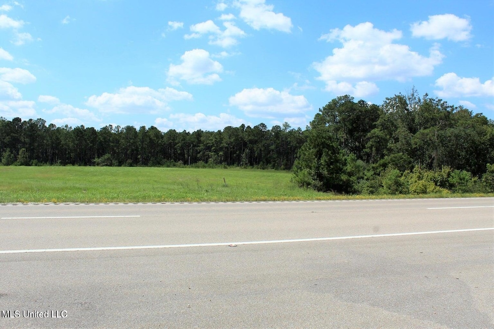 10.7 Acres Highway 98, Lucedale, MS 39452 - photo 1