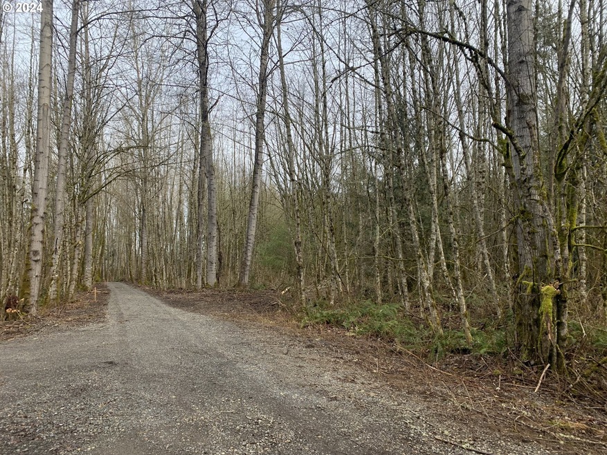 0 NE 84th Ave unit 24038912, Battleground, WA 98604 - photo 1