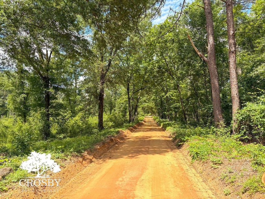 0 Hollow Creek Farm Rd, Aiken, SC 29803 - photo 1