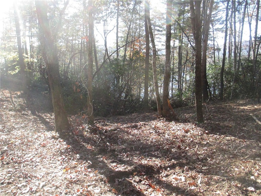 Lot 4F Highlands Way, Tamassee, SC 29686 - photo 1