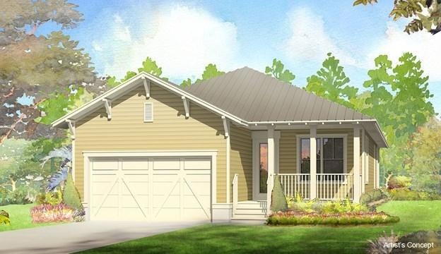 Beachwind rendering color