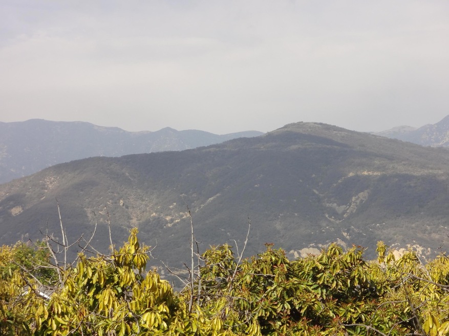 Views of Mountains From Your New Home