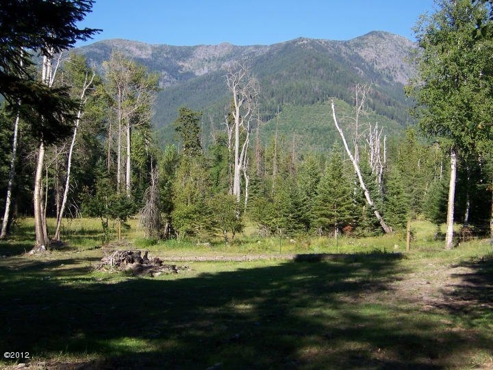 11074 Ganz Rd, Bigfork, MT 59911 - photo 1