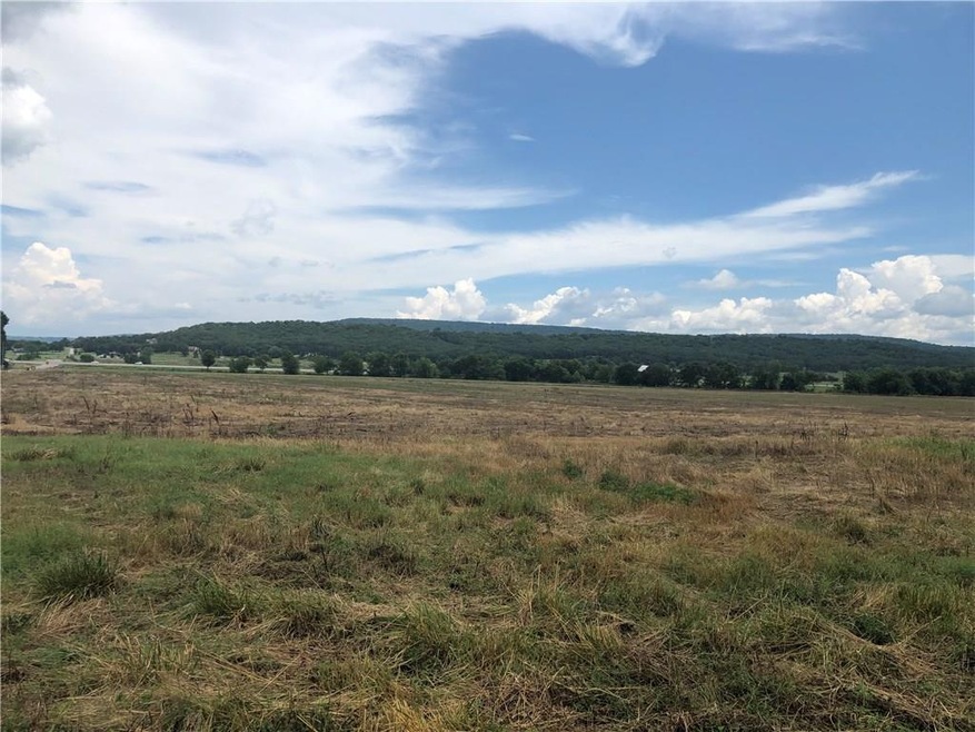 17.53 AC E Butler Rd, Prairie Grove, AR 72753 - photo 1