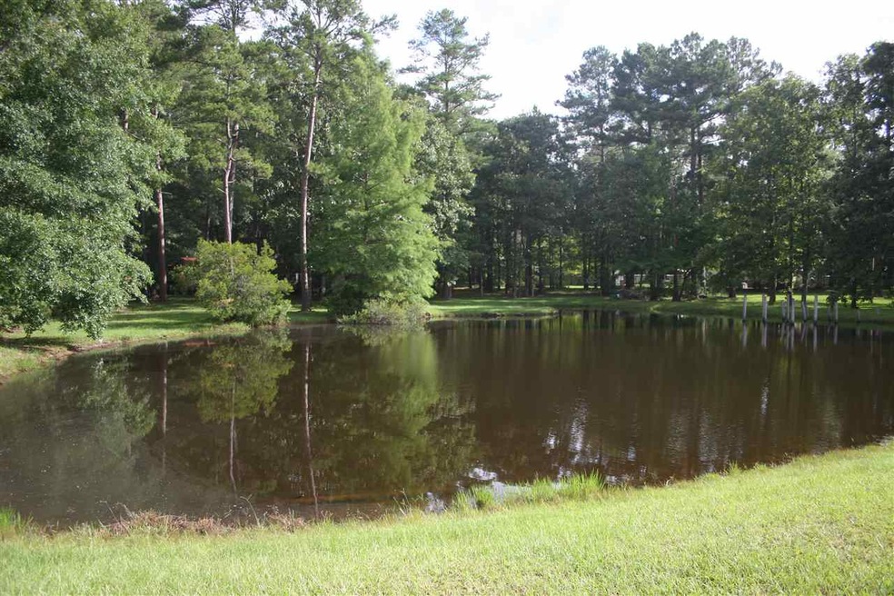 1211 Wade Patrick Rd, Brandon, MS 39042 - photo 1