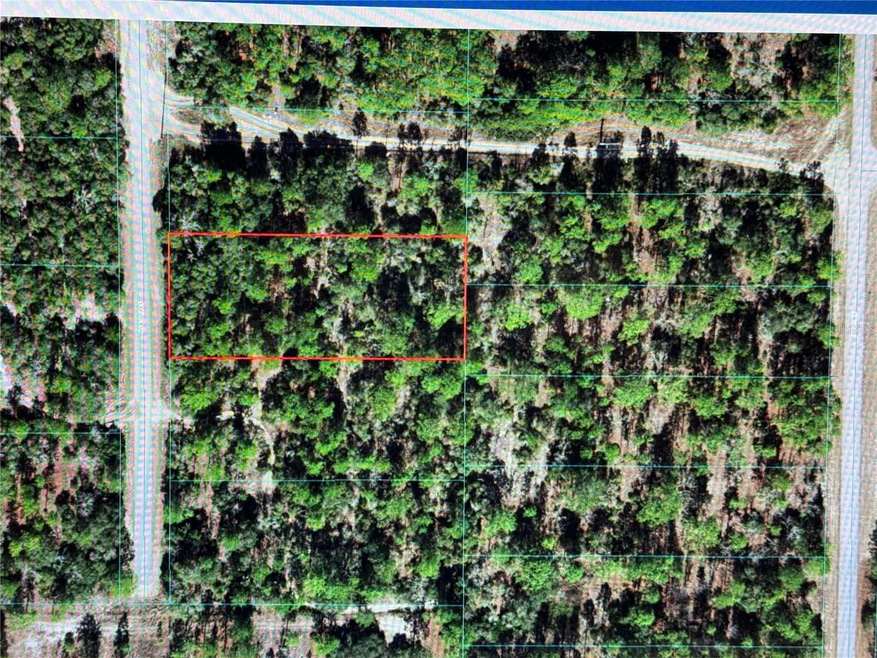 TBD SW Azalea Ct, Dunnellon, FL 34431 - photo 1