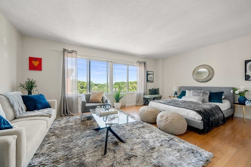 Sargent Estates unit 609, Brookline, MA 02445 - photo 1