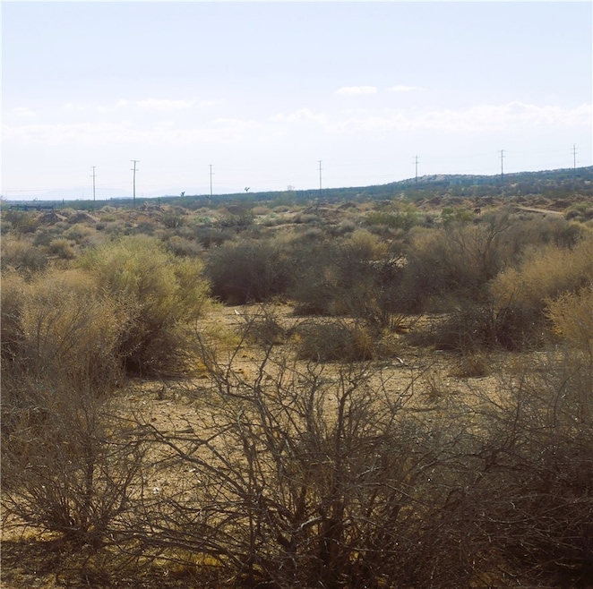 9 Pipeline Rd, Boron, CA 93516 - photo 1