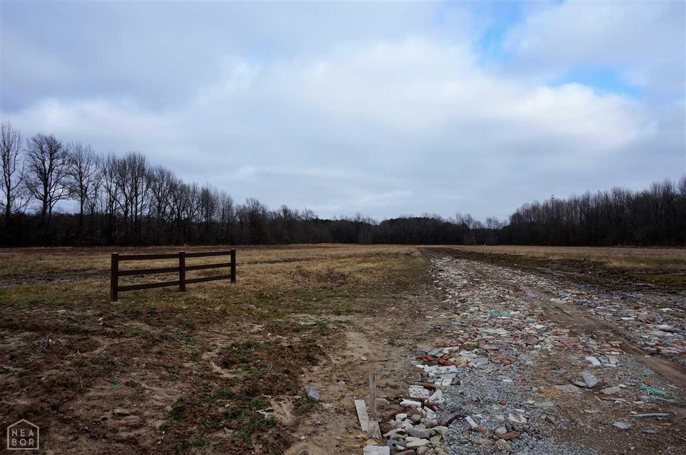 668 County Road 304, Jonesboro, AR 72401 - photo 1