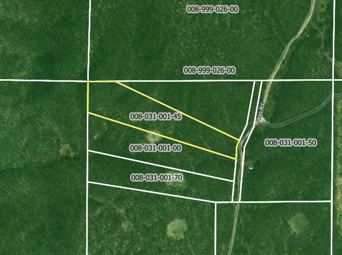 11 Acres Blann Rd, Elmira, MI 49730 - photo 1