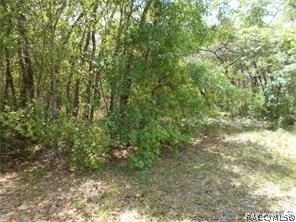 unlisted-address, Hernando, FL 34442 - photo 1