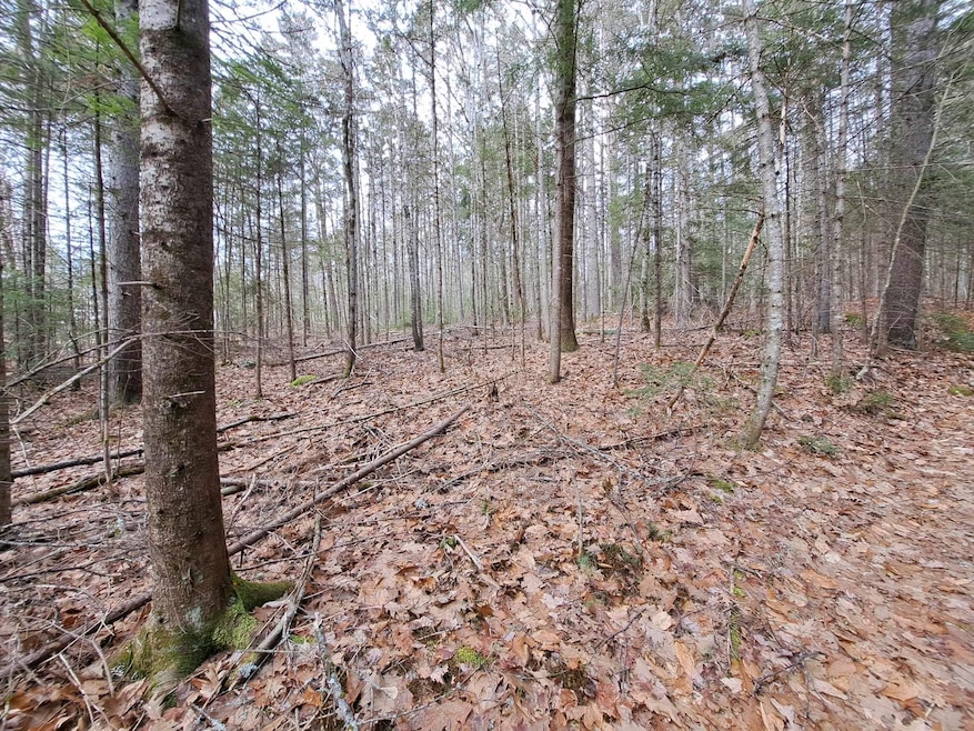 Lot 16 Judges Rd, Thornton, NH 03285 - photo 1