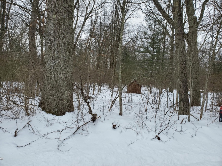 0 Vl 12 Mile Rd, Bitely, MI 49309 - photo 1