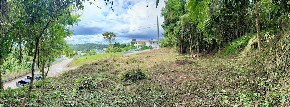 0 Calle Pineros, Cayey, PR 00736 - photo 1