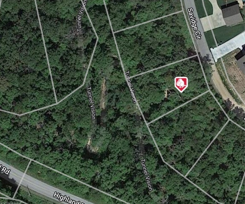 Lot 12 Savidge Cir, Bella Vista, AR 72715 - photo 1