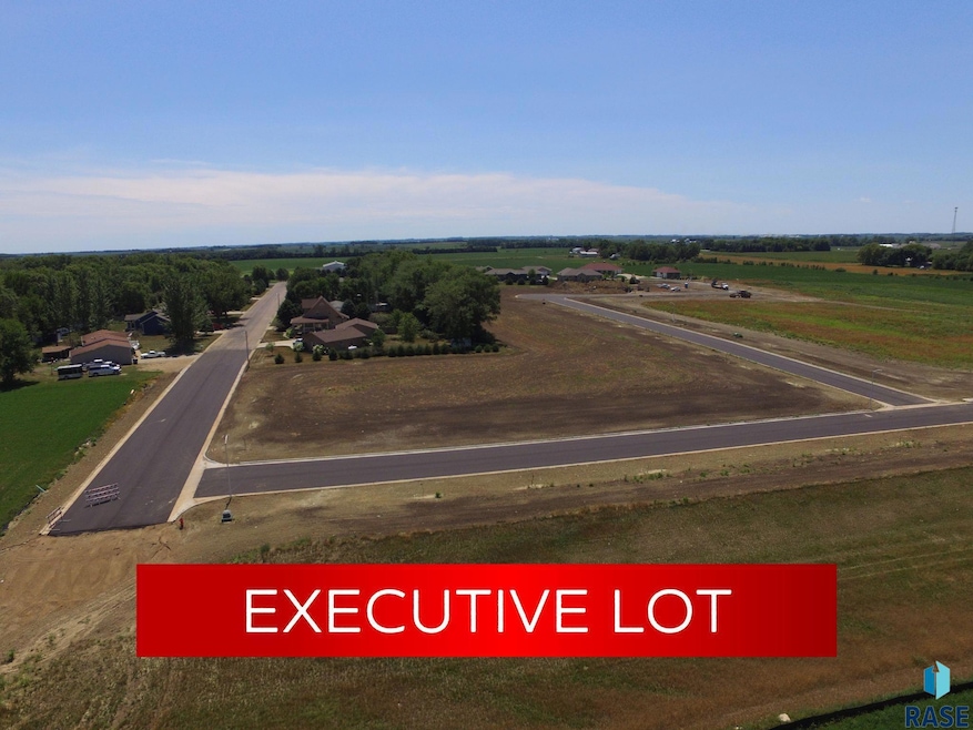 0 Lot 2a Blk 4 Valhalla Dr, Viborg, SD 57070 - photo 1