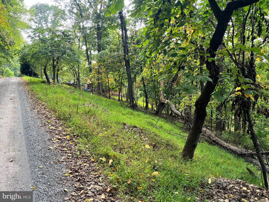 Lot #3 Bridle Path Rd, Front Royal, VA 22630 - photo 1