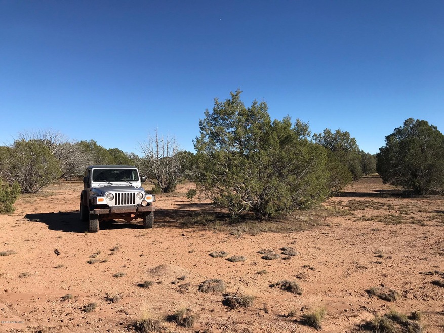206 Brava Ln, Ash Fork, AZ 86320 - photo 1